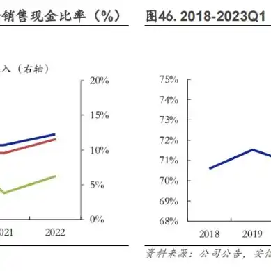 服务器提供商排名，2023年服务器提供商排行解析，揭秘行业佼佼者背后的秘密