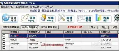 搭建vps用什么软件，从零开始，使用VPS主机搭建个人网站，软件选择与详细步骤解析