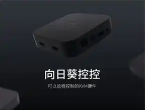 kvm主机是什么，KVM一体机，融合虚拟化与物理硬件的全新解决方案