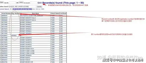 海外域名注册商标查询官网，海外域名注册商标查询攻略，全面了解商标查询流程与注意事项