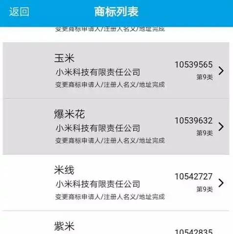 域名注册商标有什么好处，域名注册商标的五大优势，品牌保护与商业价值提升之道