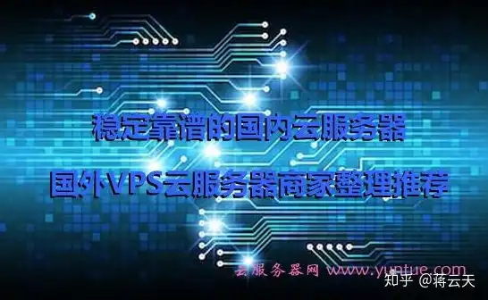 国内永久免费vps云服务器，揭秘国内永久免费VPS云服务器，如何轻松获取与高效利用？