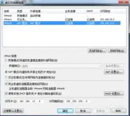 vmware虚拟机与主机网络互通，VMware虚拟机与主机多网络共享配置详解，实现高效网络互通