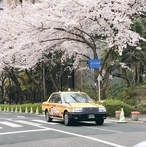 日本云主机东京，日本云主机东京，揭秘东京云服务优势及选型指南