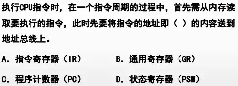 对于储存器下列说法正确的是哪一项，深入解析，关于储存器的五大正确说法