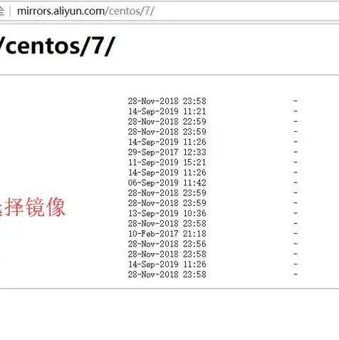 iso镜像文件怎样导入虚拟机中，深入解析ISO镜像文件导入虚拟机的完整步骤及注意事项