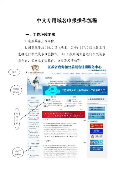 中文域名注册系统查询，中文域名注册系统详解，注册流程、注意事项及未来发展