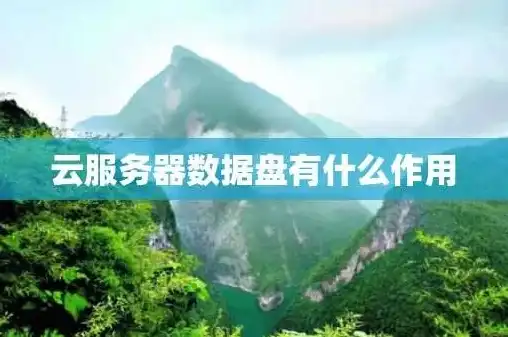 云服务器需要数据盘吗为什么不能用，云服务器数据盘的必要性及不能不使用的原因解析