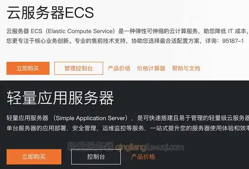 阿里云轻量级应用服务器和ecs，阿里云轻量应用服务器与ECS，深入解析两种云服务产品的差异与应用场景