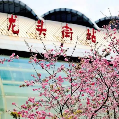 樱花云服务器黄页怎么打开，樱花云服务器黄页，开启高效云端之旅的全方位指南