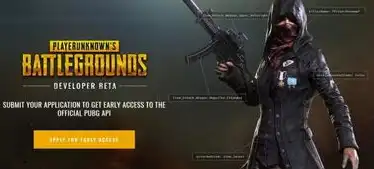 pubg服务器维护中，全面解析绝地求生服务器维护，维护细节、原因及影响