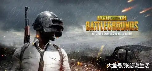 pubg服务器维护中，全面解析绝地求生服务器维护，维护细节、原因及影响