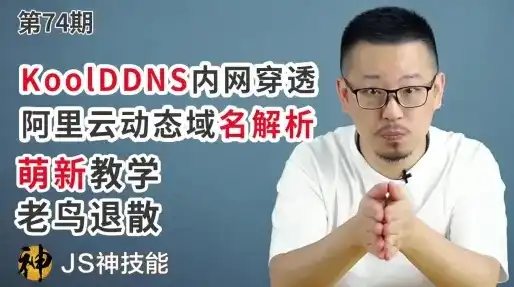 阿里云域名dns怎么设置可以更快，阿里云域名DDNS设置攻略，快速实现域名动态解析，告别手动更新烦恼！