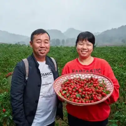 一个服务器多台电脑，深度解析，一台服务器如何同时运行两个系统——跨平台部署攻略