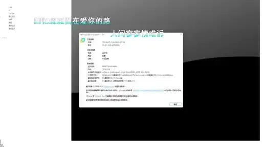 vmware17虚拟机使用教程，VMware 17虚拟机使用教程，轻松上手，畅享虚拟化体验