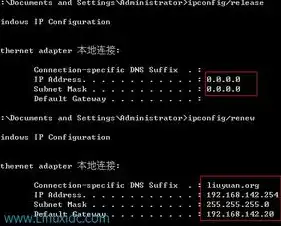 dhcp服务器配置步骤linux，Linux系统下DHCP服务器配置步骤详解