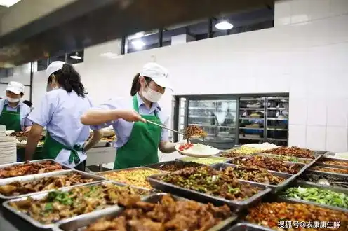 学生营养餐系统网址，学生营养餐智慧云综合服务平台，打造校园食品安全新篇章