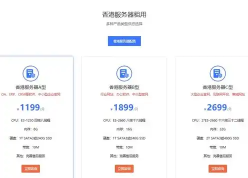 香港服务器租用多少钱，香港服务器租用大带宽性价比之选，价格解析与使用指南