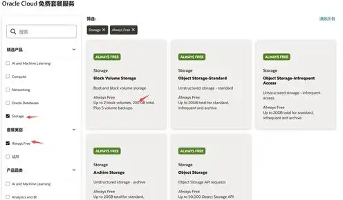 oracle云服务器免费，深度解析，Oracle云服务器免费政策，企业上云的明智之选