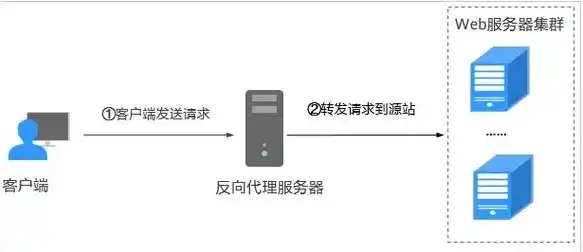 客户端与服务器的区别是什么，客户端与服务器，深入解析两者的本质区别与应用场景