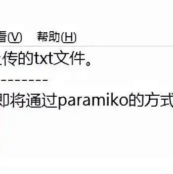 如何租云服务器跑python，深入解析，如何租用云服务器并高效运行Python程序