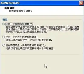 vmware虚拟机如何使用本机显卡功能，VMware虚拟机深度解析，如何充分利用本机显卡提升虚拟机性能