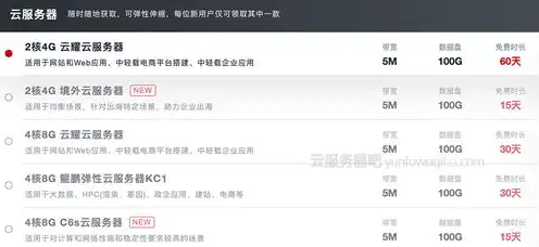 阿里云服务费是什么，阿里云免费云服务器扣费真相，揭秘免费背后的真实成本与使用规则