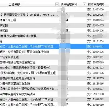 服务器面临风险类型怎么解决，深入剖析服务器风险类型及解决方案，全面保障网络安全防线