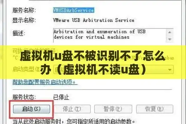 虚拟机识别不了u盘怎么解决视频，实用攻略虚拟机无法识别U盘？五大妙招轻松解决！