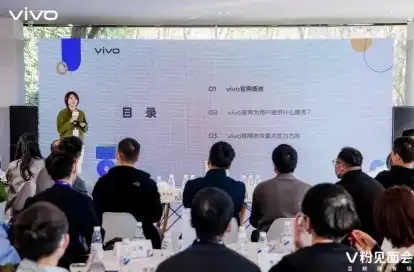 vivo云服务，vivo云服务器，开启企业数字化转型新篇章