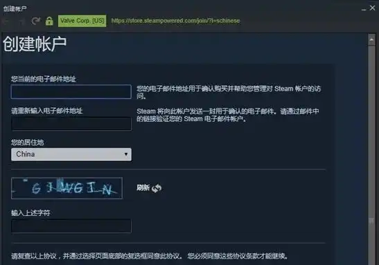 注册steam网页api域名名称填什么，详解Steam网页API域名注册步骤及注意事项