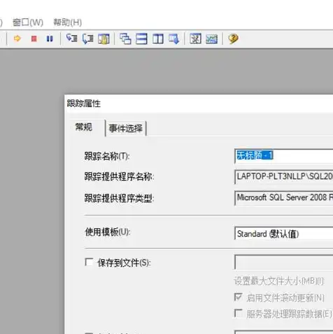 java web 服务器，深入解析Java Web服务器配置，技术细节与实践案例