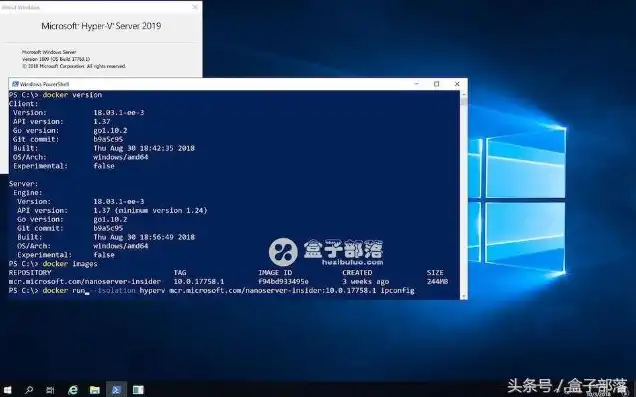 win10服务器版本下载，Win10服务器版本深度解析，下载、安装与使用技巧详解