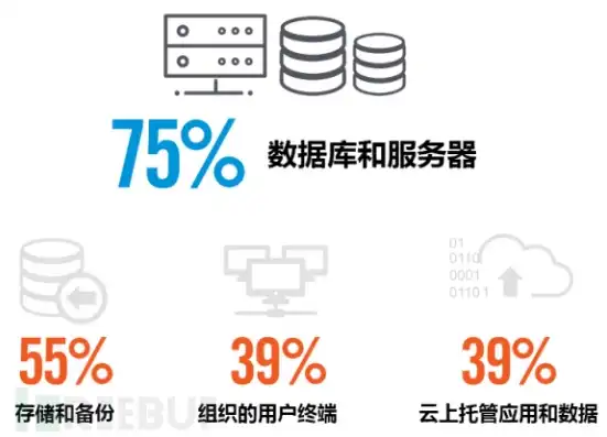 数据库服务器上存的什么，数据库服务器对象存储功能解析，高效数据管理的利器