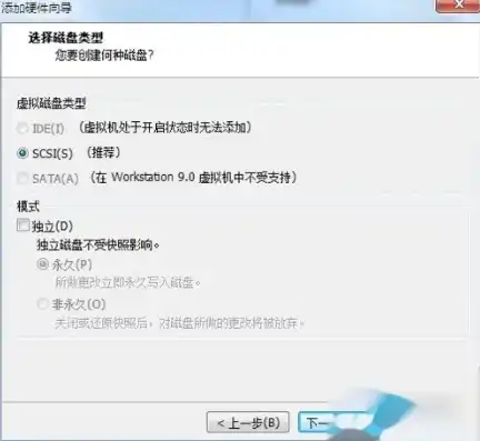 vm虚拟机怎么u盘启动，VMware虚拟机如何使用U盘启动，详细教程及注意事项