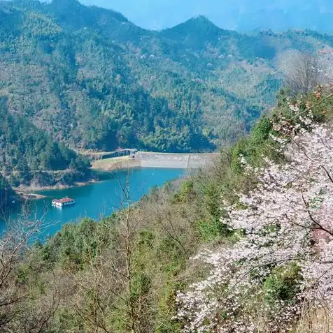 日本樱花云服务器网页，日本樱花云服务器，云端之巅，尽享樱花之美