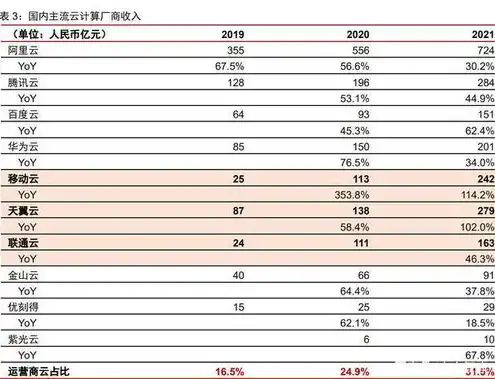 中国电信云服务器一年的费用，中国电信云服务器一年费用详解，套餐、价格及优惠策略全解析