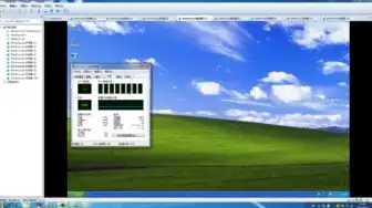 虚拟机很卡但主机不卡怎么解决，虚拟机运行缓慢而主机性能优异的解决攻略，深度剖析与实操步骤