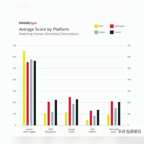 aws云服务个人类型和公司类型区别，AWS云服务个人类型与公司类型详解，使用场景、优劣势对比及选择建议