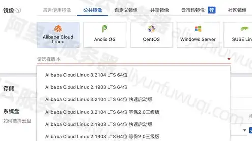 云服务器镜像选什么用，云服务器镜像选择指南，Windows系统优势解析及最佳实践