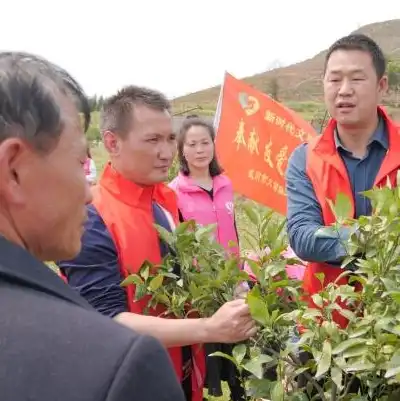 网络服务和云服务是什么，网络服务与云服务，揭秘现代信息技术的核心力量