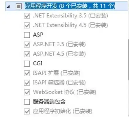 asp.net server，深入浅出ASP.NET服务器环境搭建全攻略