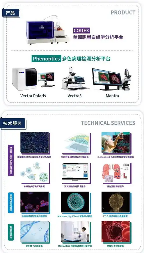 云服务器哪家比较好呢，深度解析，云服务器哪家便宜且实用，五大热门品牌对比分析