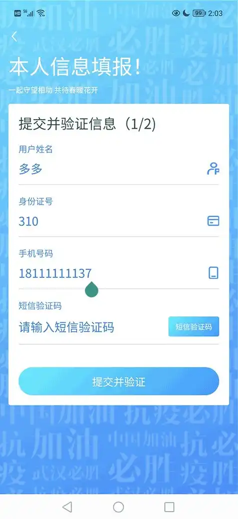 上海市企业云服务和哈罗短信验证码，上海市企业云服务助力哈罗短信验证码实现高效安全，引领行业新风向