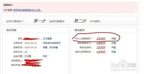 查询二级域名注册信息怎么查明细表，详解查询二级域名注册信息查明细步骤及方法