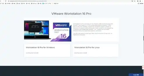 vmware虚拟机2021破解版，VMware虚拟机2021破解版下载，Windows 7系统下的强大虚拟化解决方案