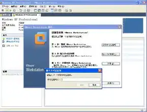 vmware虚拟机许可密钥怎么获得不了，VMware虚拟机许可密钥获取攻略，告别黑化，迈向正规化使用之路