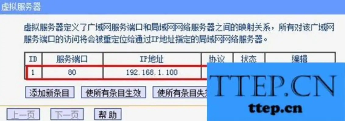 tplink路由器虚拟服务器设置，详解TP-LINK路由器虚拟服务器设置方法，轻松实现远程访问与端口映射
