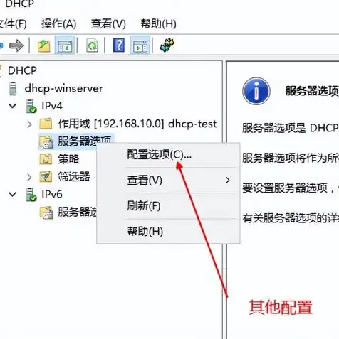 dhcp服务器是干嘛的，深入解析DHCP服务器，功能、原理与应用