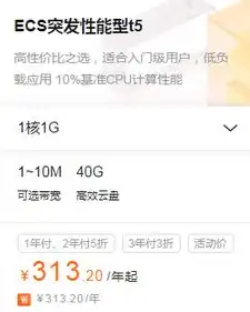 阿里云服务器价格是多少钱一台，阿里云服务器价格解析，全面了解不同类型、配置及优惠政策，助您轻松选择合适方案！